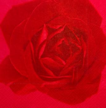 ROS-0437 Roses - 3-ply (red) - SALE !